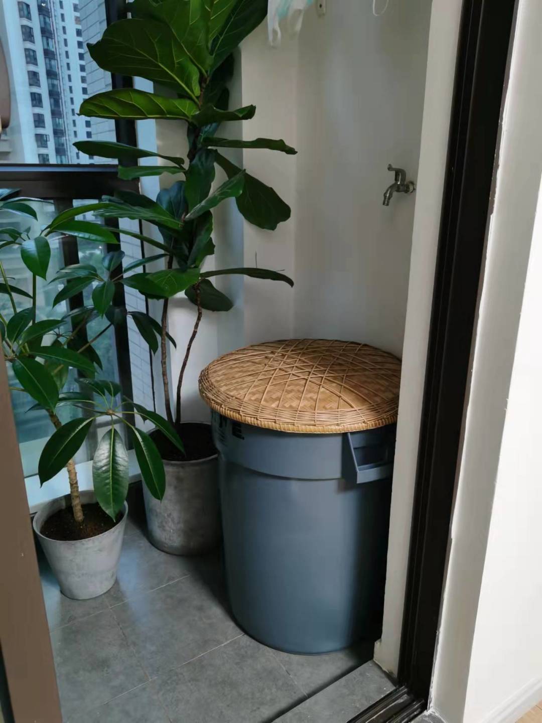 DƬ